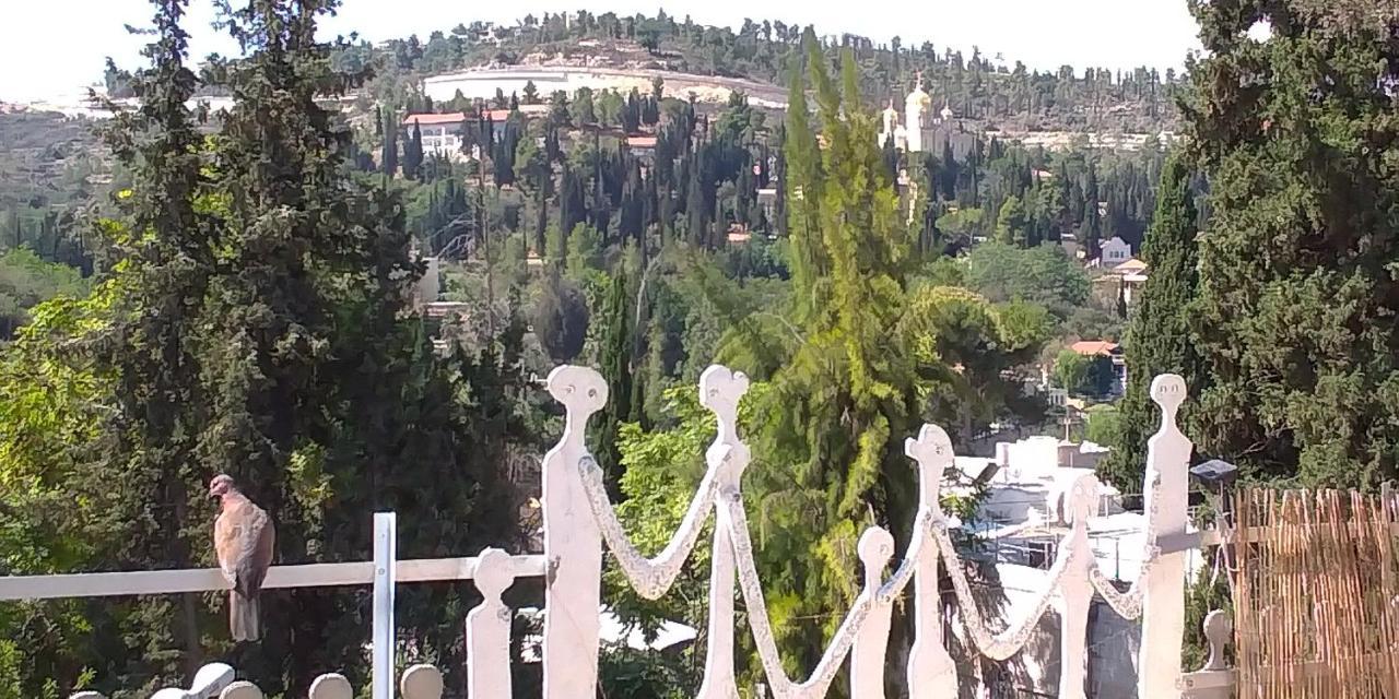 Sweet 'en Kerem View * Jerusalem