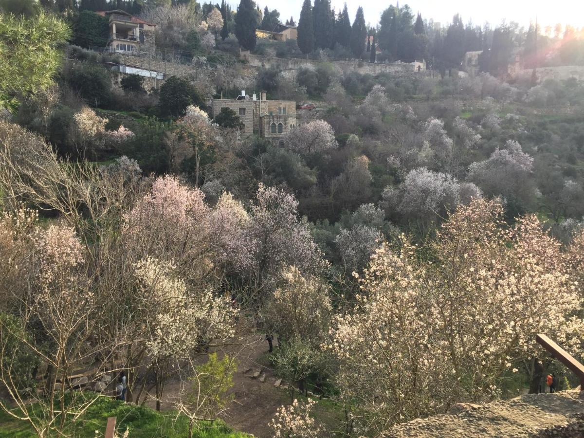 Sweet 'en Kerem View Jerusalem